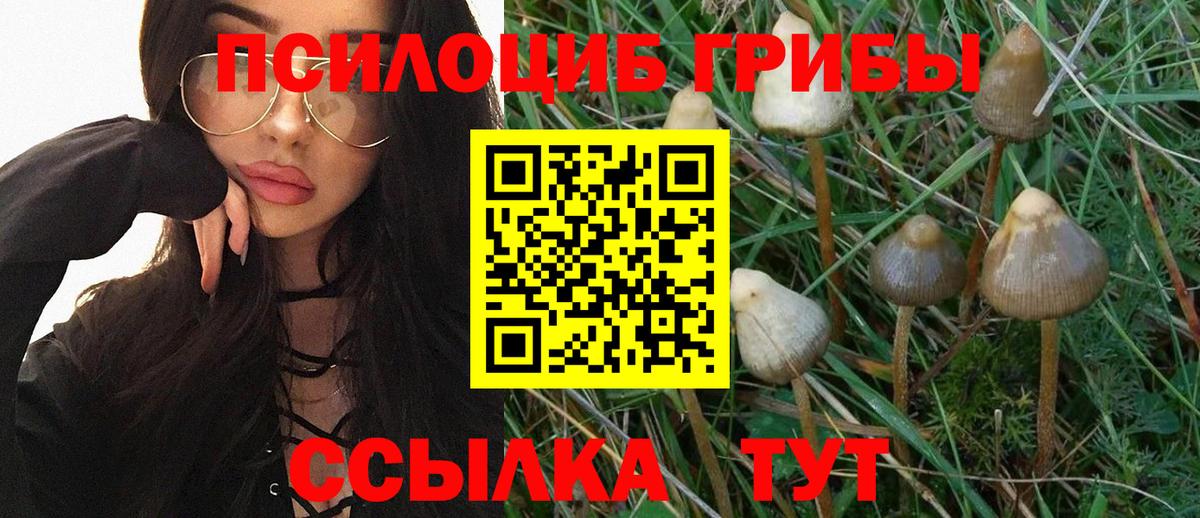 Псилоцибиновые грибы ЛСД Ревда